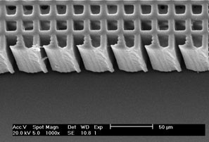 polymerstructure.jpg