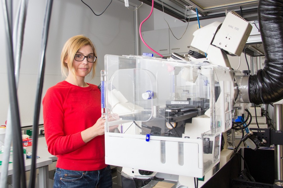 Eva Sevcsik in the Biophysics Lab