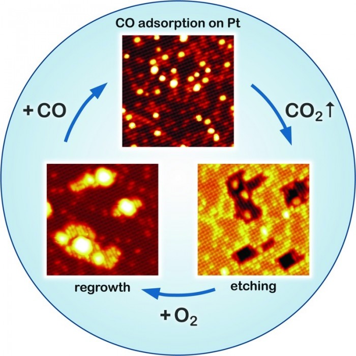 The Catalytic Cycle