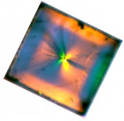 One of our crystals seen through a polarization microscope