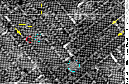 PtCo(100) surface with chemical contrast