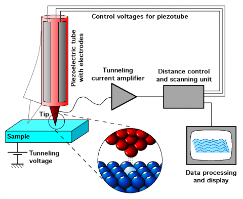 Schematic view of an STM